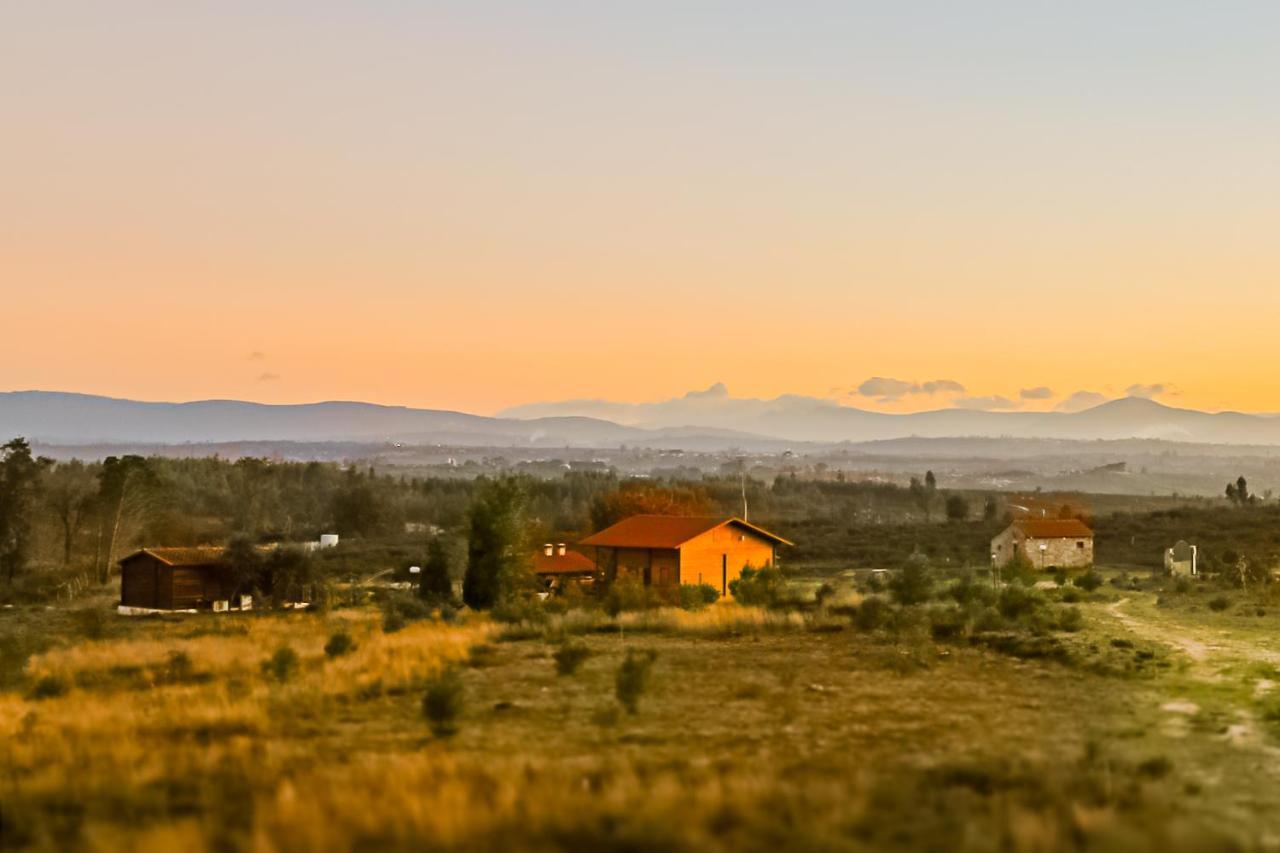 Vila Da Laje - Onde A Natureza O Envolve - Serra Da Estrela Олівейра-ду-Ошпітал Екстер'єр фото