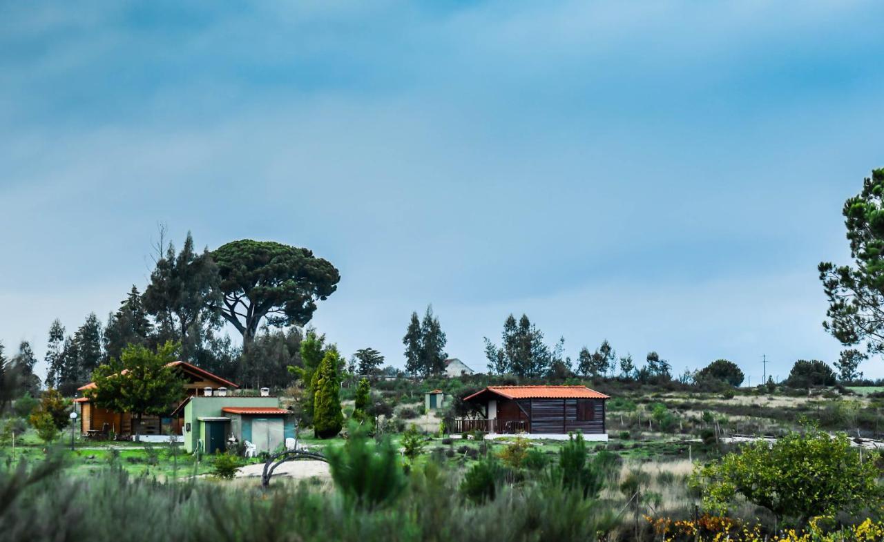 Vila Da Laje - Onde A Natureza O Envolve - Serra Da Estrela Олівейра-ду-Ошпітал Екстер'єр фото