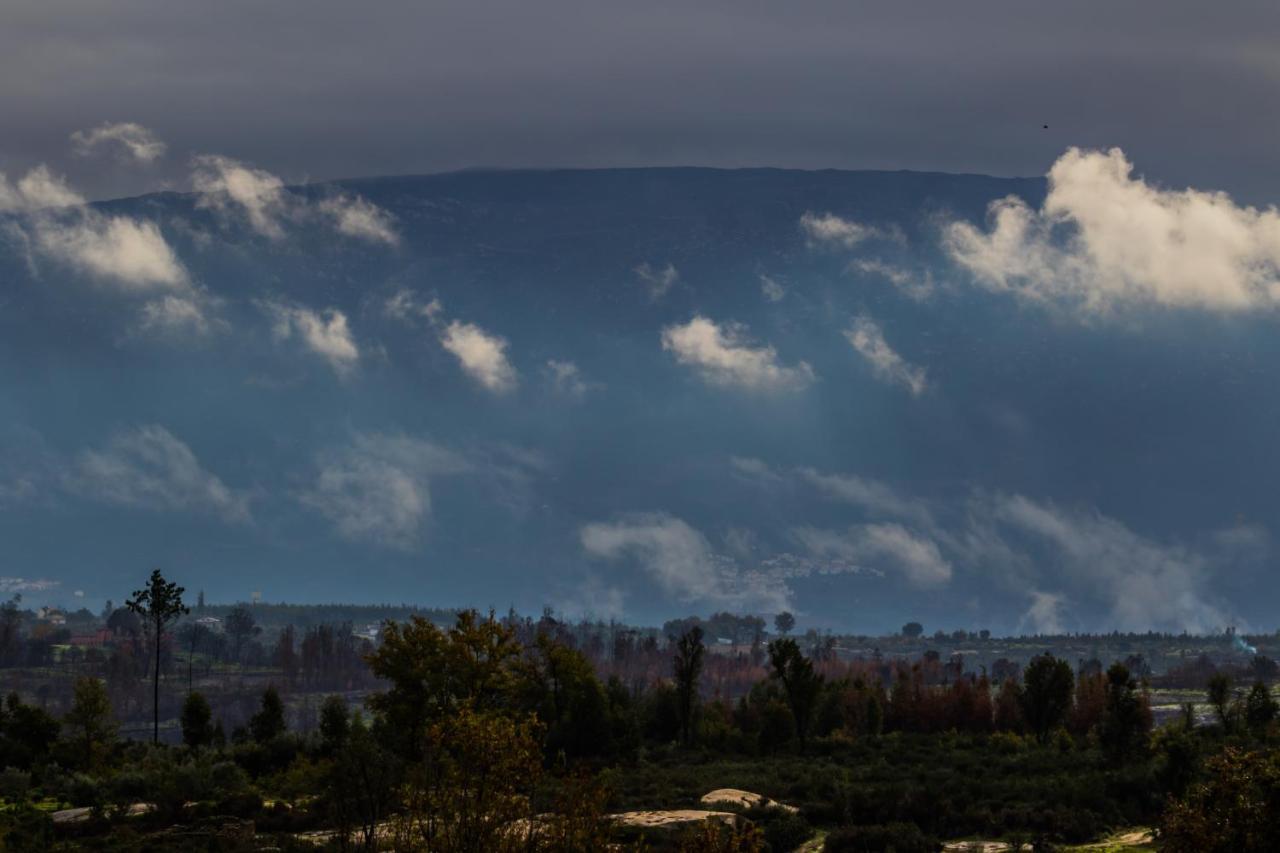 Vila Da Laje - Onde A Natureza O Envolve - Serra Da Estrela Олівейра-ду-Ошпітал Екстер'єр фото