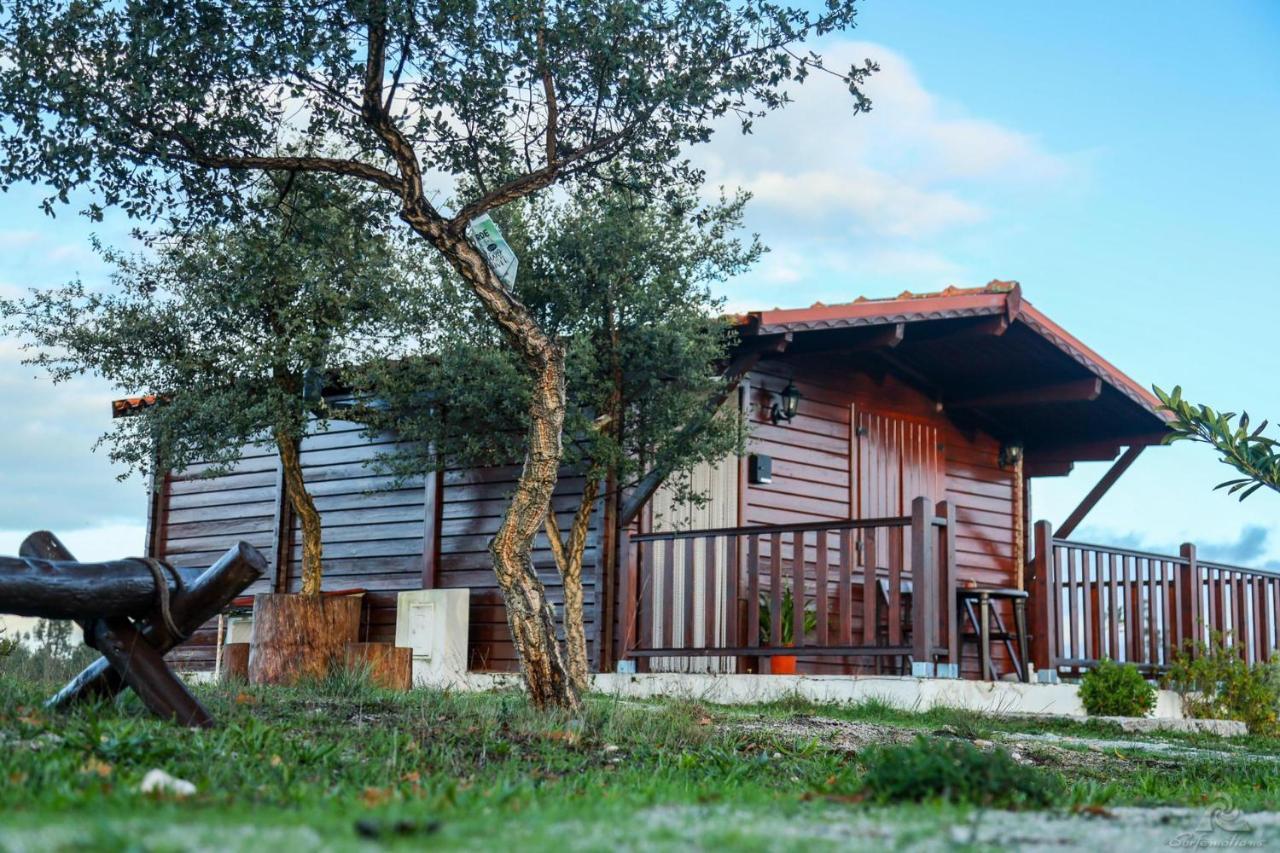 Vila Da Laje - Onde A Natureza O Envolve - Serra Da Estrela Олівейра-ду-Ошпітал Екстер'єр фото