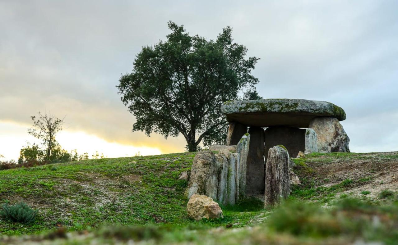 Vila Da Laje - Onde A Natureza O Envolve - Serra Da Estrela Олівейра-ду-Ошпітал Екстер'єр фото